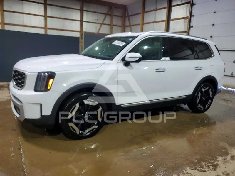 2025 KIA Telluride photo