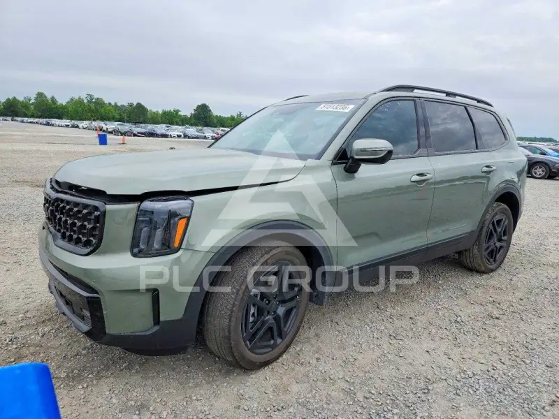 2025 KIA Telluride photo