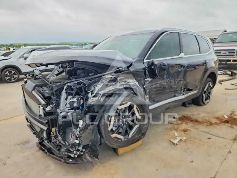 2025 KIA Telluride photo