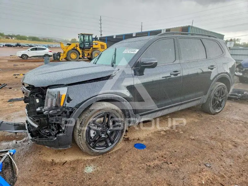 2025 KIA Telluride photo