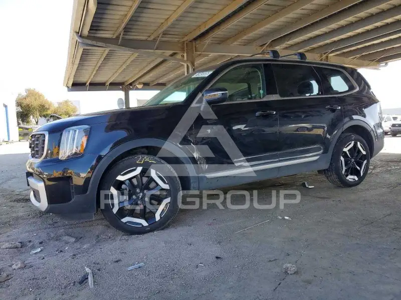 2025 KIA Telluride photo