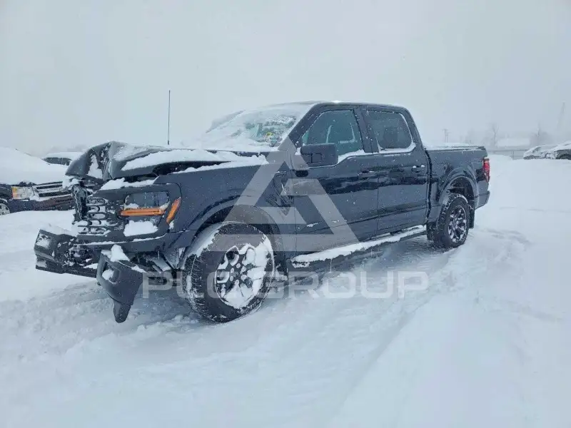 2025 Ford F-150 фото