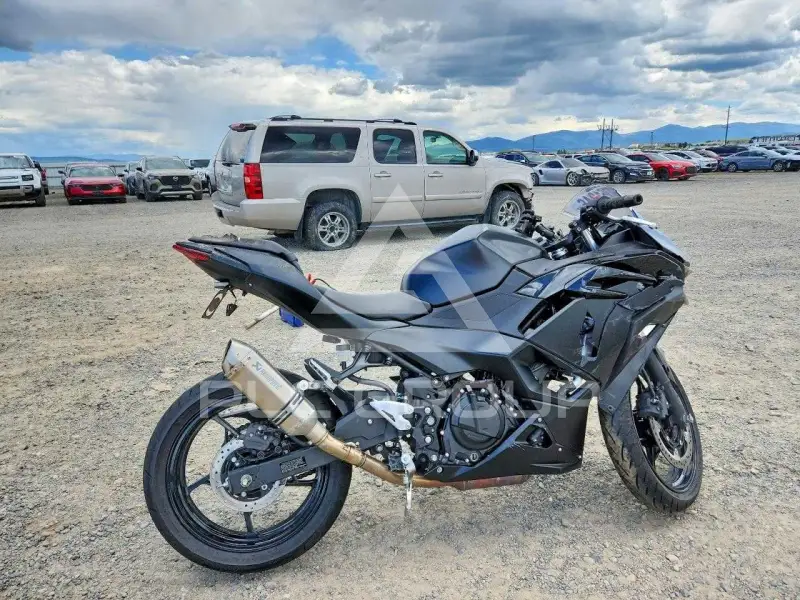 2026 Kawasaki EX500 фото