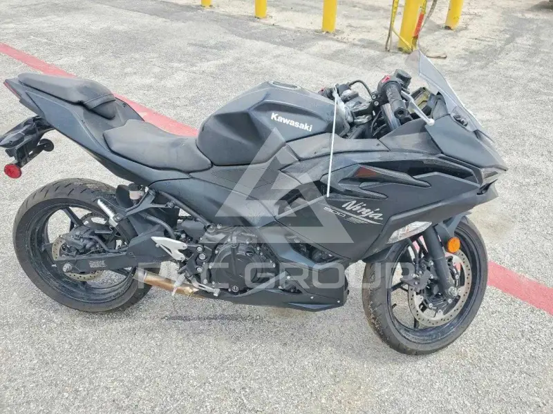 2026 Kawasaki EX500 photo