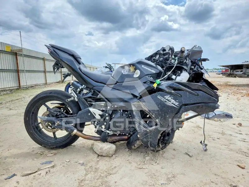 2026 Kawasaki  фото
