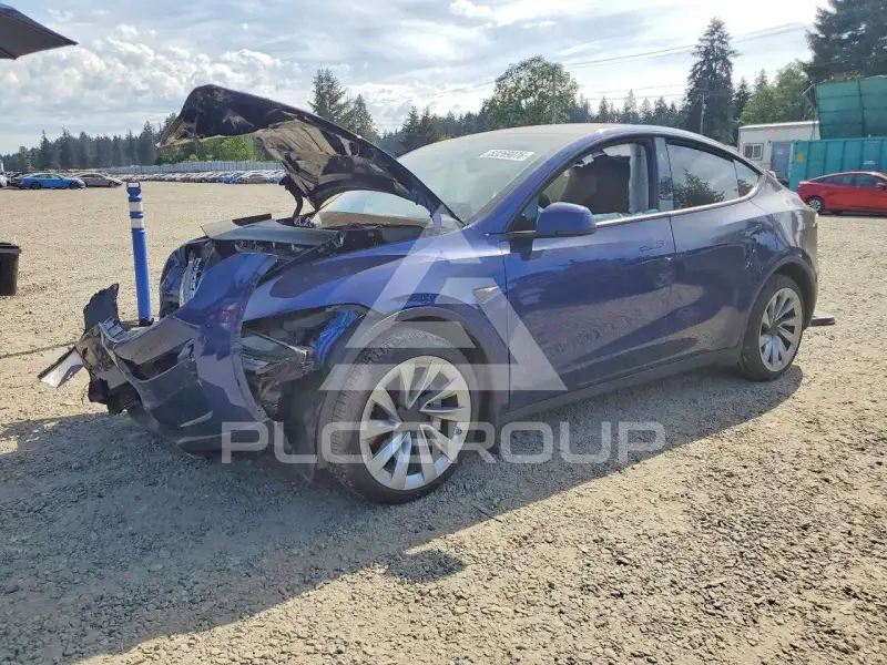 2026 Tesla Model Y photo
