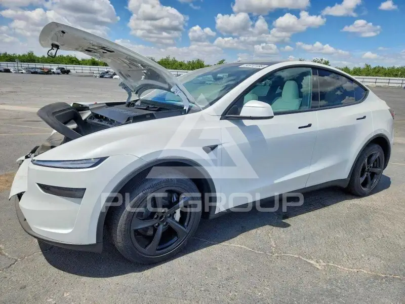 2026 Tesla Model Y photo