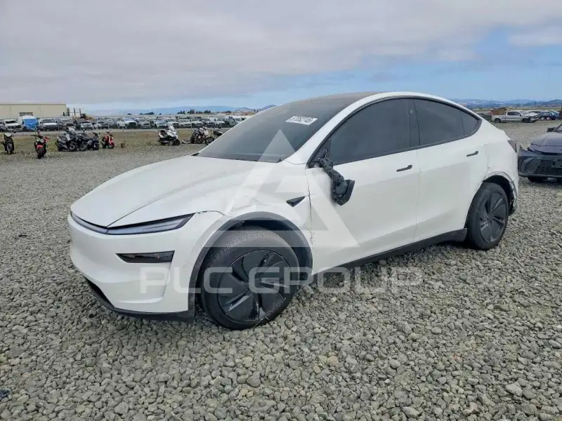 2026 Tesla Model Y photo