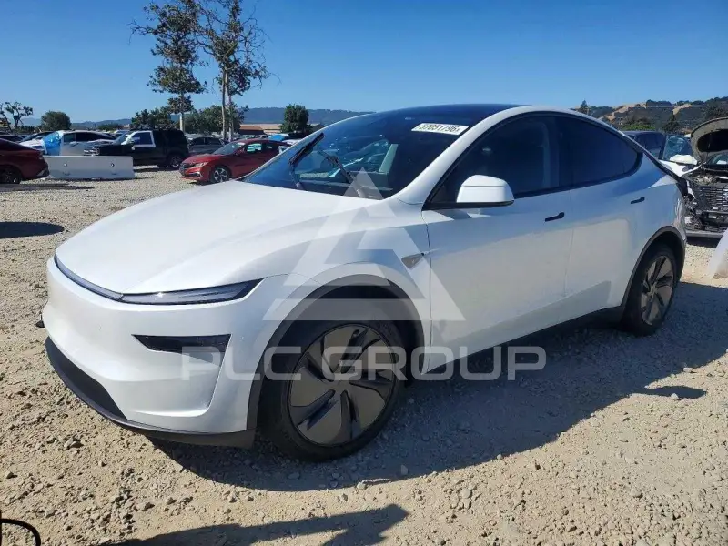 2026 Tesla Model Y photo