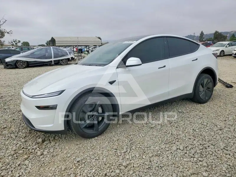 2026 Tesla Model Y photo