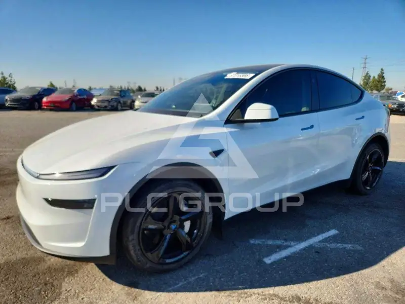 2026 Tesla Model Y photo