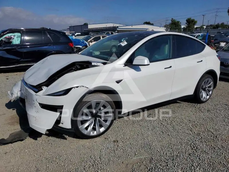 2026 Tesla Model Y photo