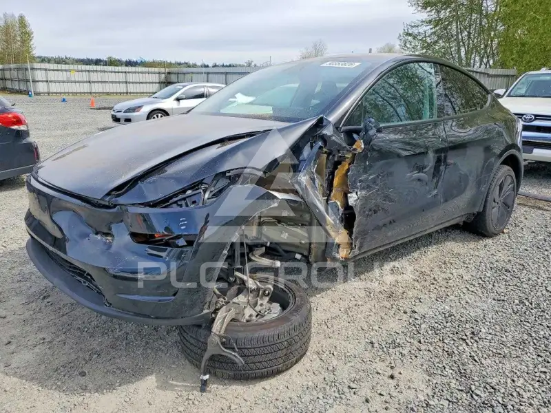 2026 Tesla Model Y фото