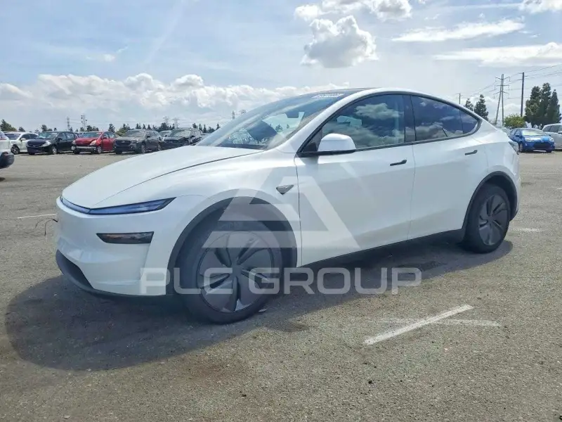 2026 Tesla Model Y photo