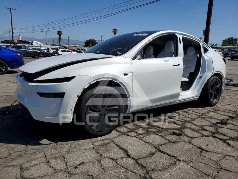 2026 Tesla Model Y photo