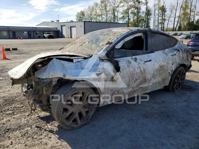 2026 Tesla Model Y фото
