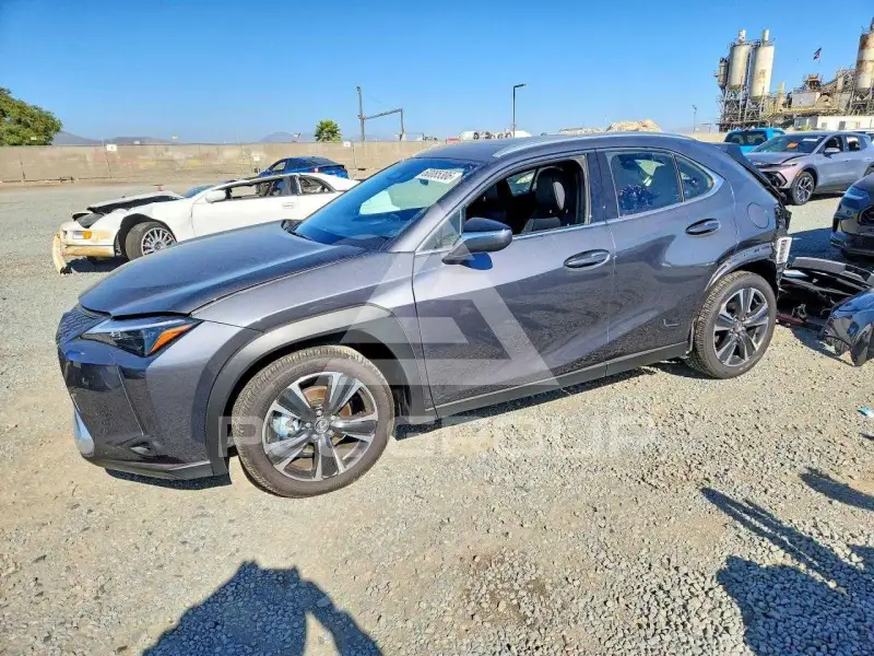 2026 Lexus Other photo