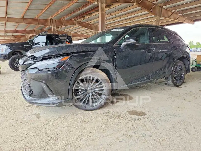 2026 Lexus  photo