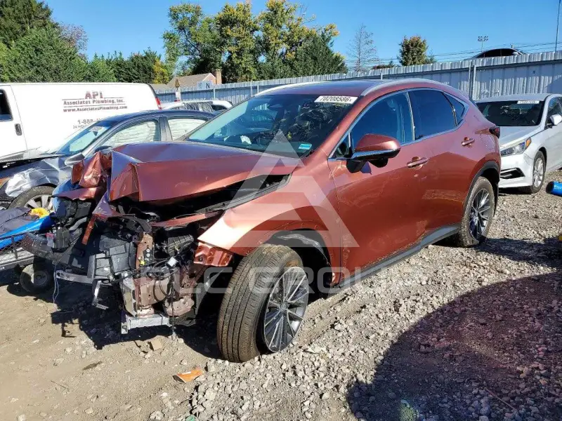 2026 Lexus NX фото