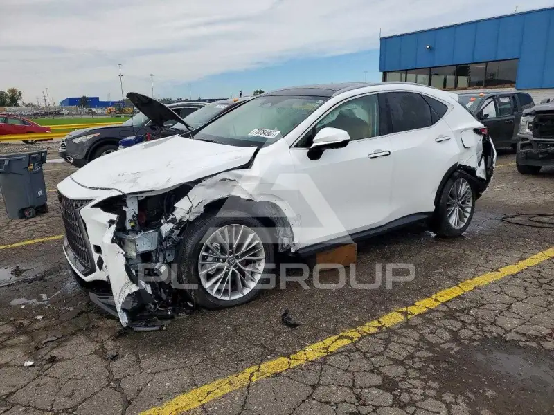 2026 Lexus NX фото