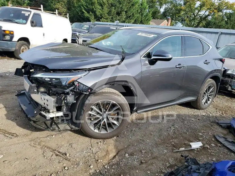 2026 Lexus NX фото