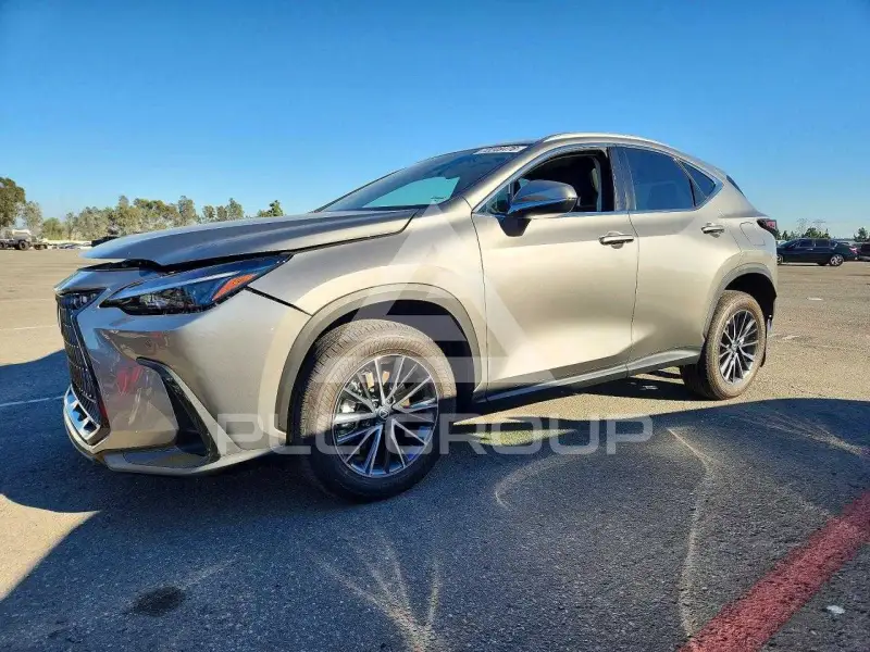 2026 Lexus NX photo