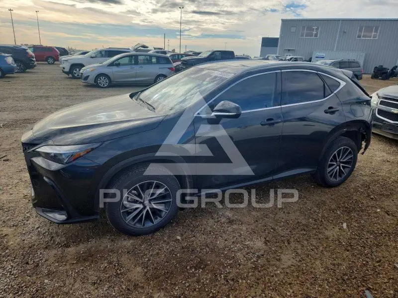 2026 Lexus NX photo