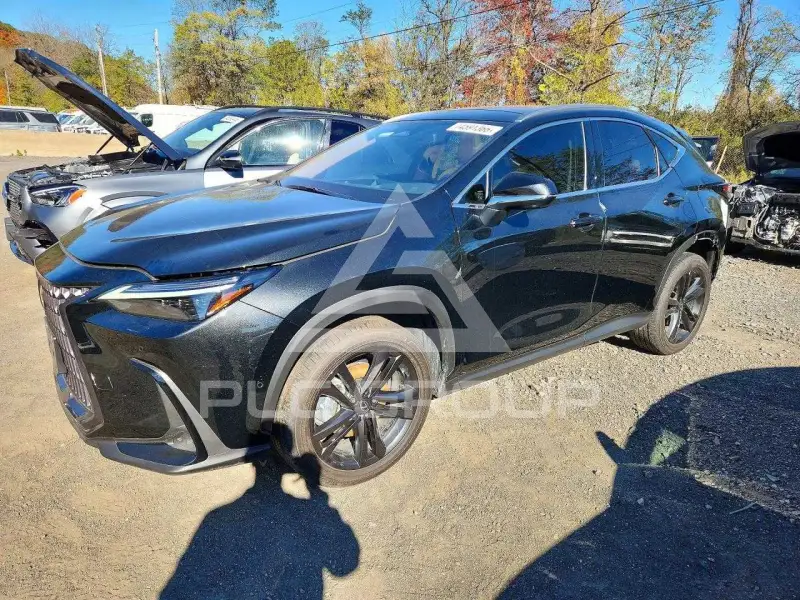 2026 Lexus NX фото
