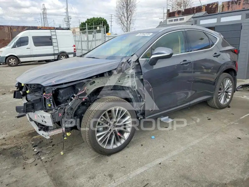 2026 Lexus NX250 photo