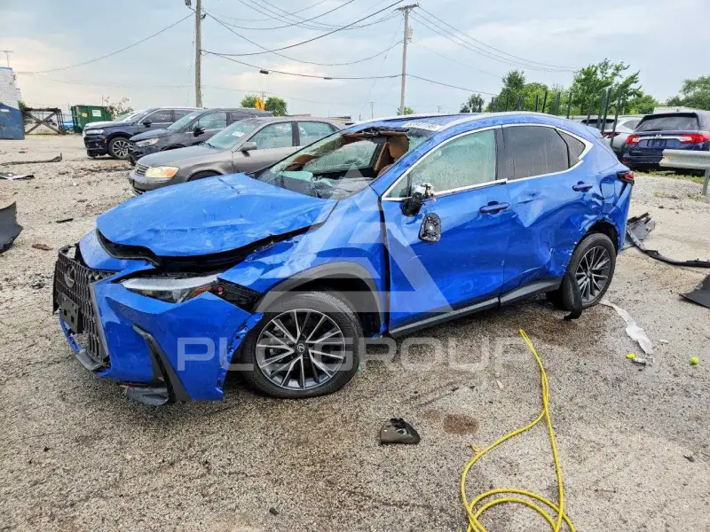 2026 Lexus NX фото