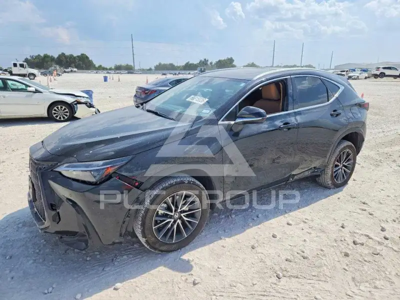 2026 Lexus NX photo