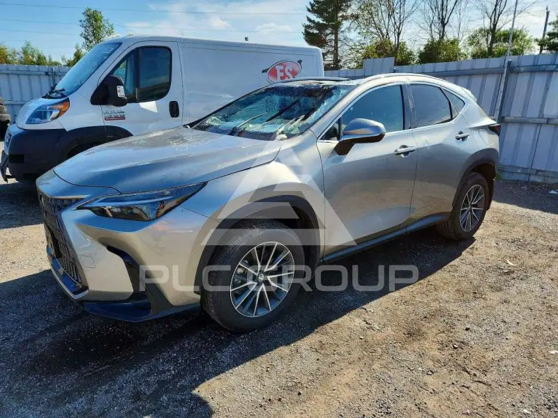 2026 Lexus NX photo