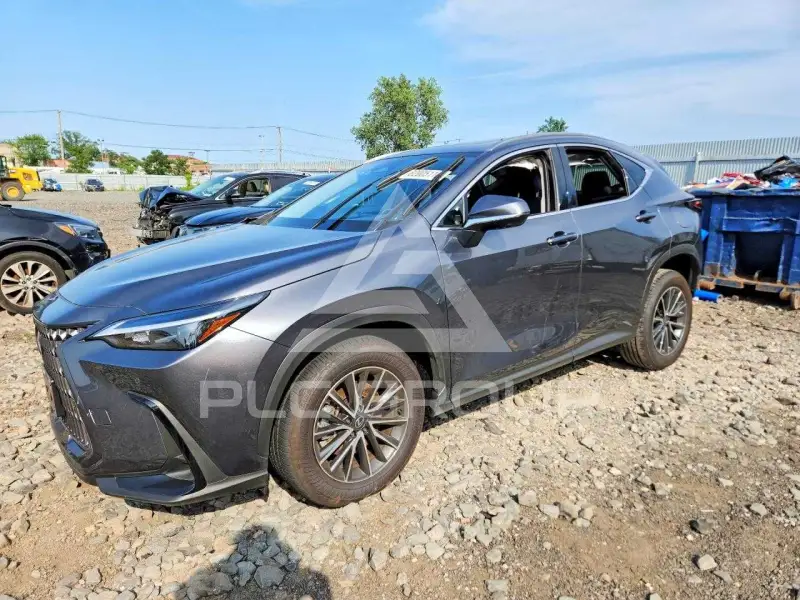 2026 Lexus NX фото