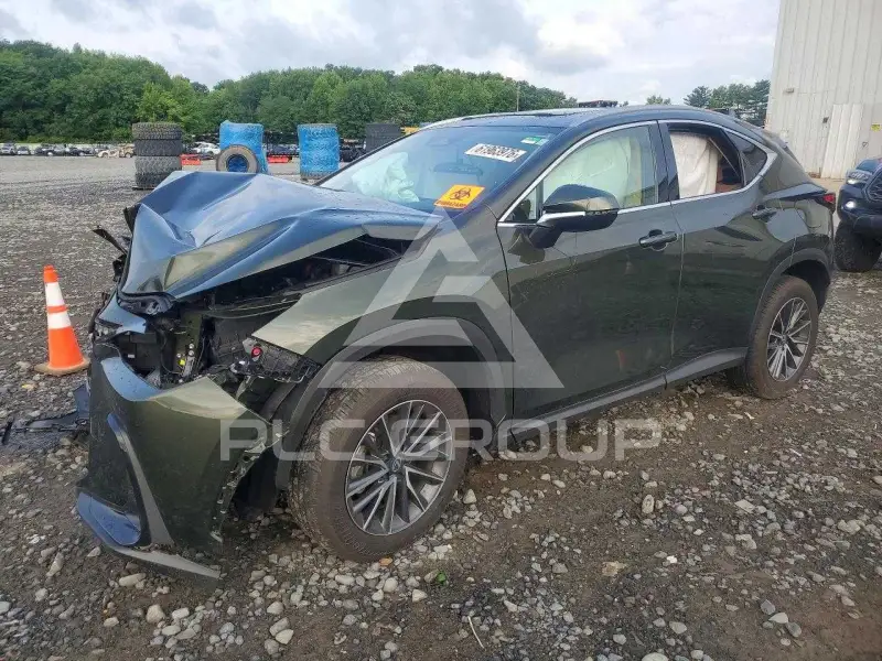 2026 Lexus NX photo