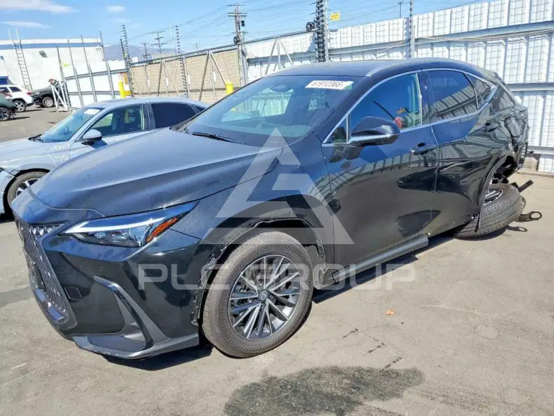 2026 Lexus NX фото