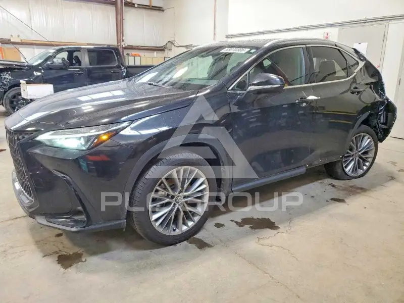 2026 Lexus NX фото