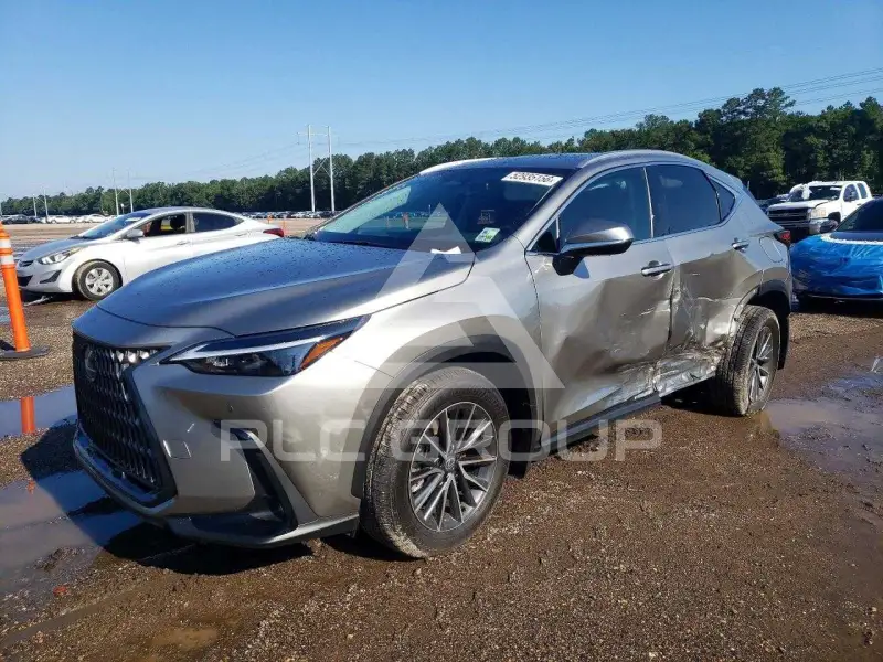 2026 Lexus NX фото