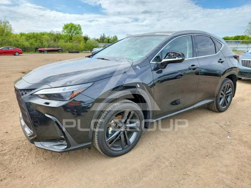 2026 Lexus NX photo