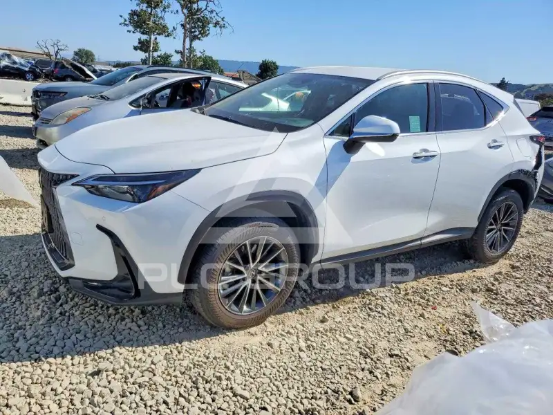 2026 Lexus NX photo