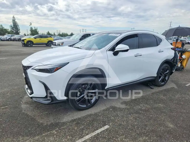 2026 Lexus NX photo