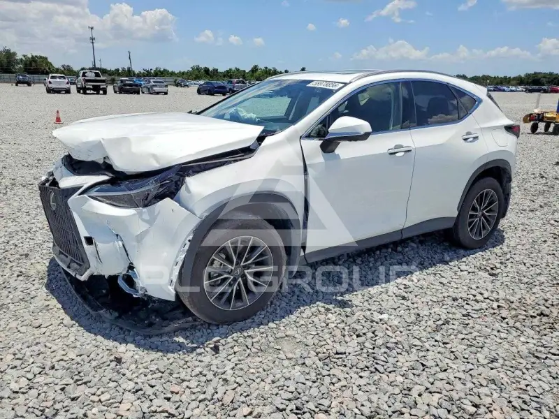 2026 Lexus NX фото