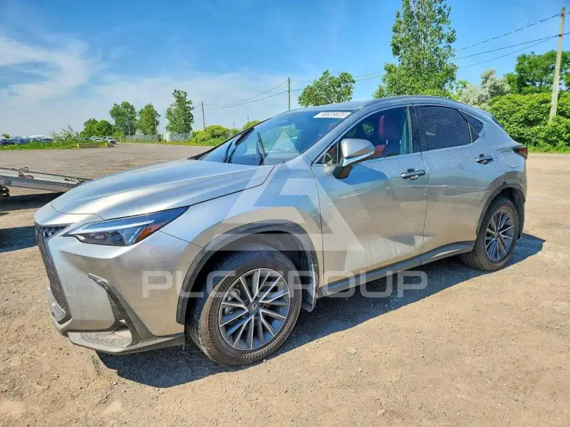 2026 Lexus NX фото