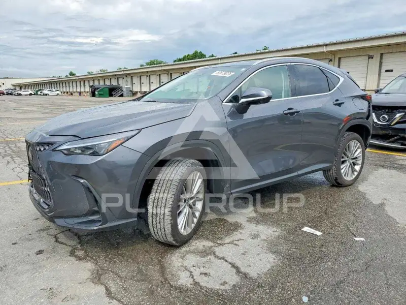 2026 Lexus NX250 photo