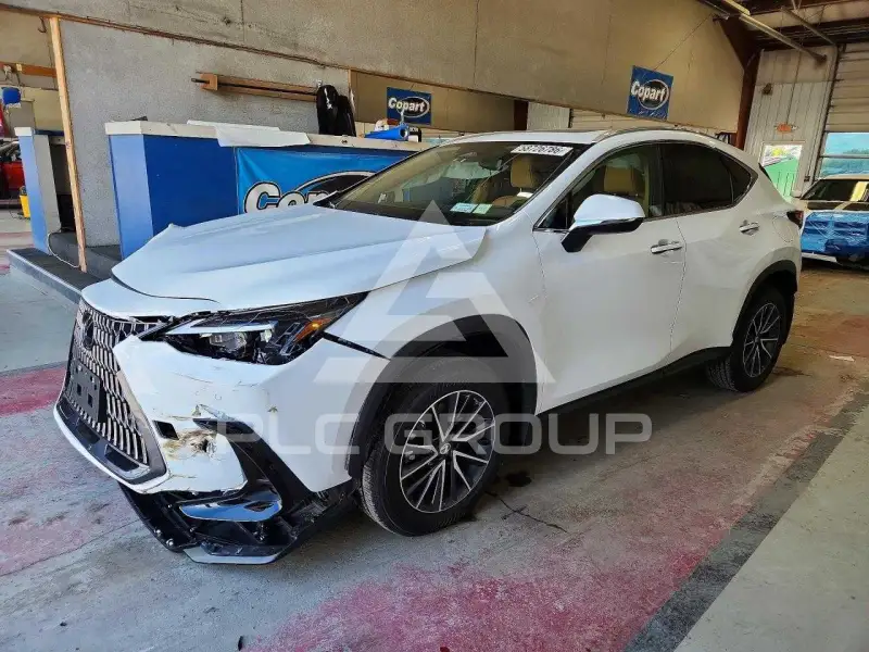 2026 Lexus NX фото