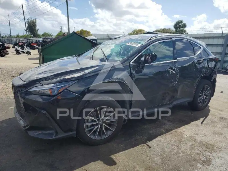 2026 Lexus NX фото