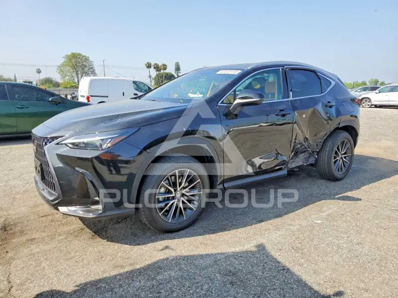 2026 Lexus NX photo