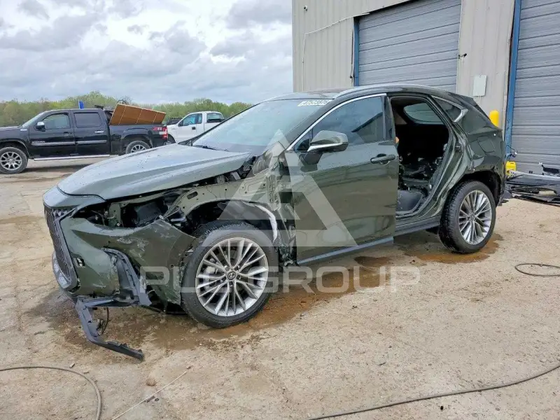 2026 Lexus NX фото