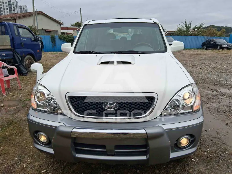 2004 Hyundai Terracan