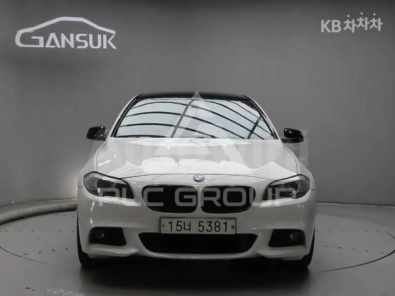 2010 BMW 523