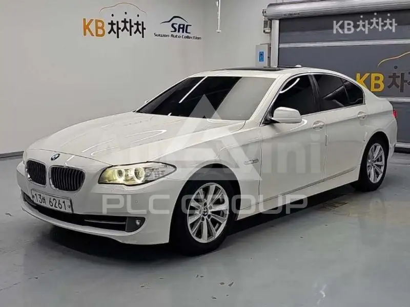 2010 BMW 523